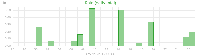rain
