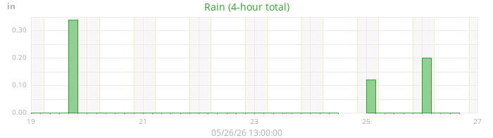 rain
