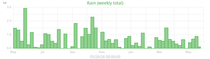 rain
